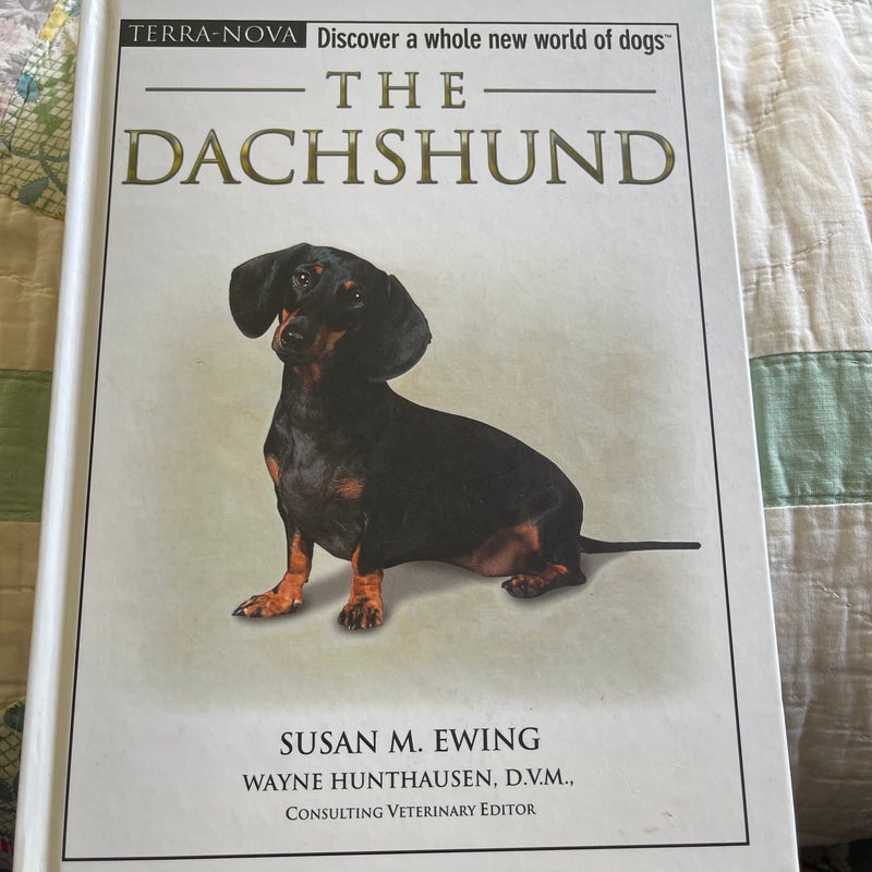 The Dachshund