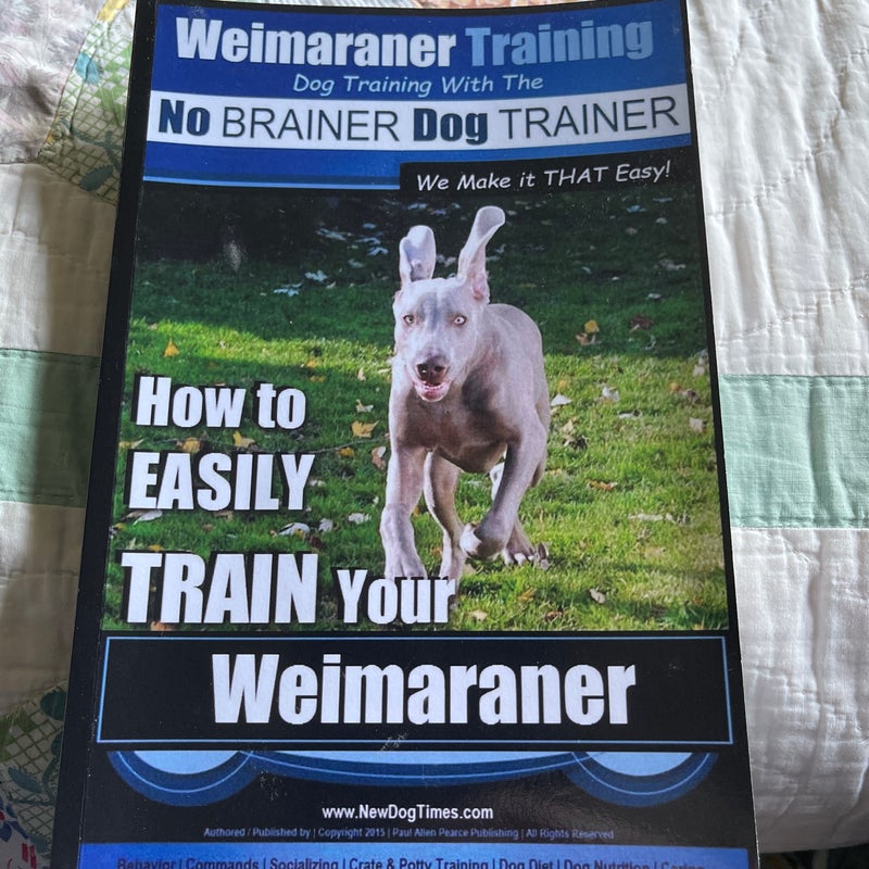 Weimaraner Training Dog Training with the No Brainer Dog Trainer We Make It That Easy