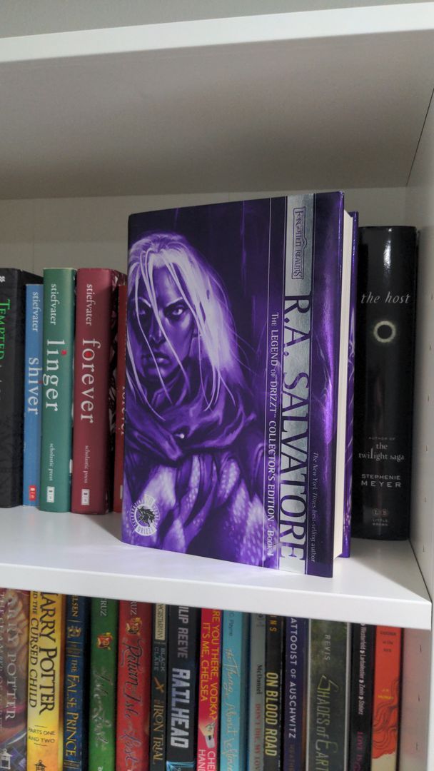 The Legend of Drizzt