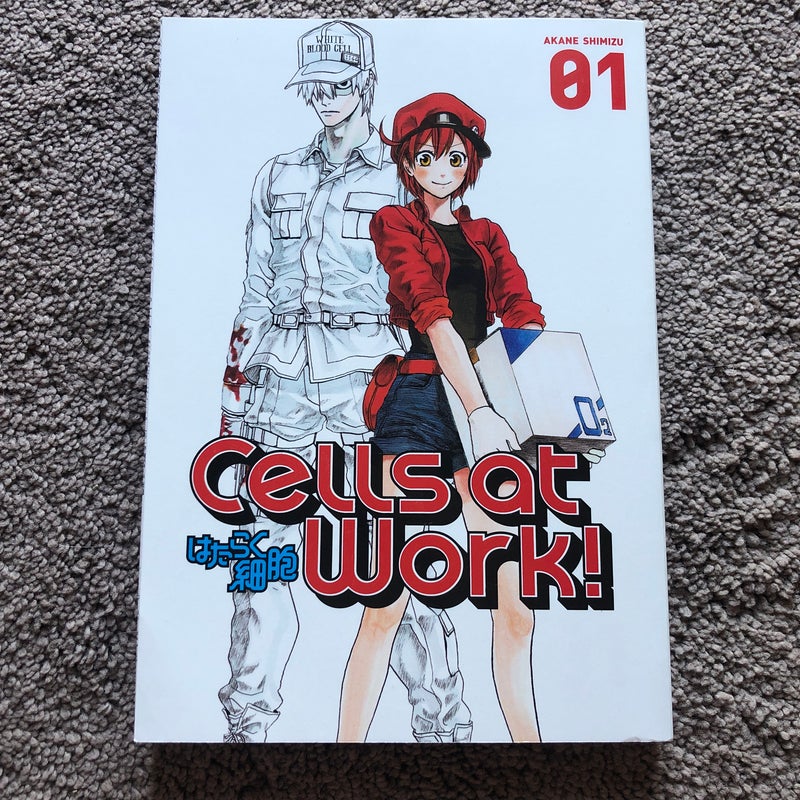 Cells at Work! 1