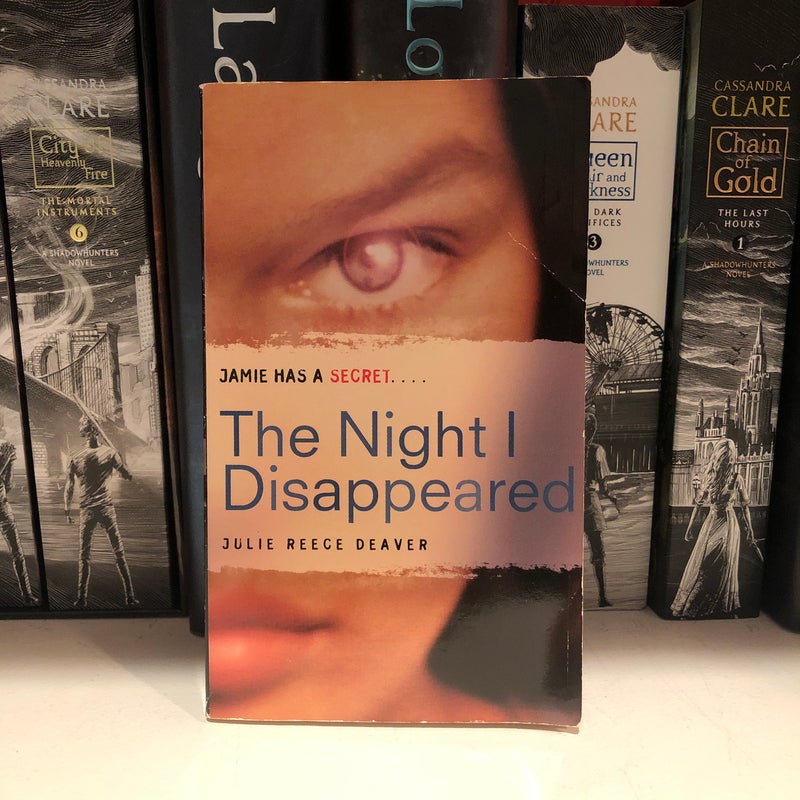 The Night I Disappeared