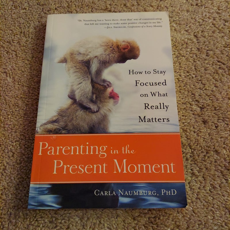 Parenting in the Present Moment