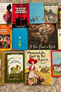 BUNDLE Of 17 Books for Kids/ Teens
