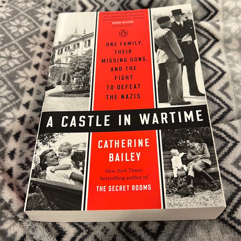 A Castle in Wartime