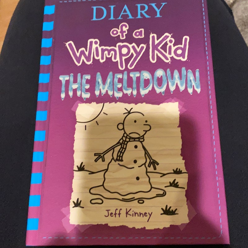 Diary of a Wimpy Kid 13