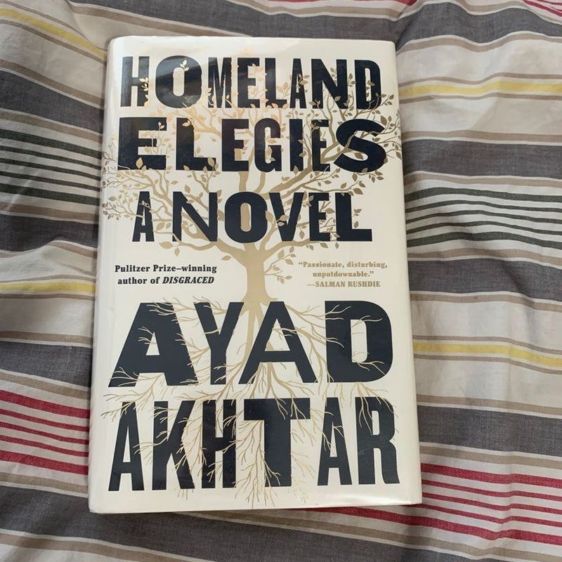 Homeland Elegies