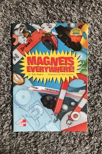 Magnets Everywhere 