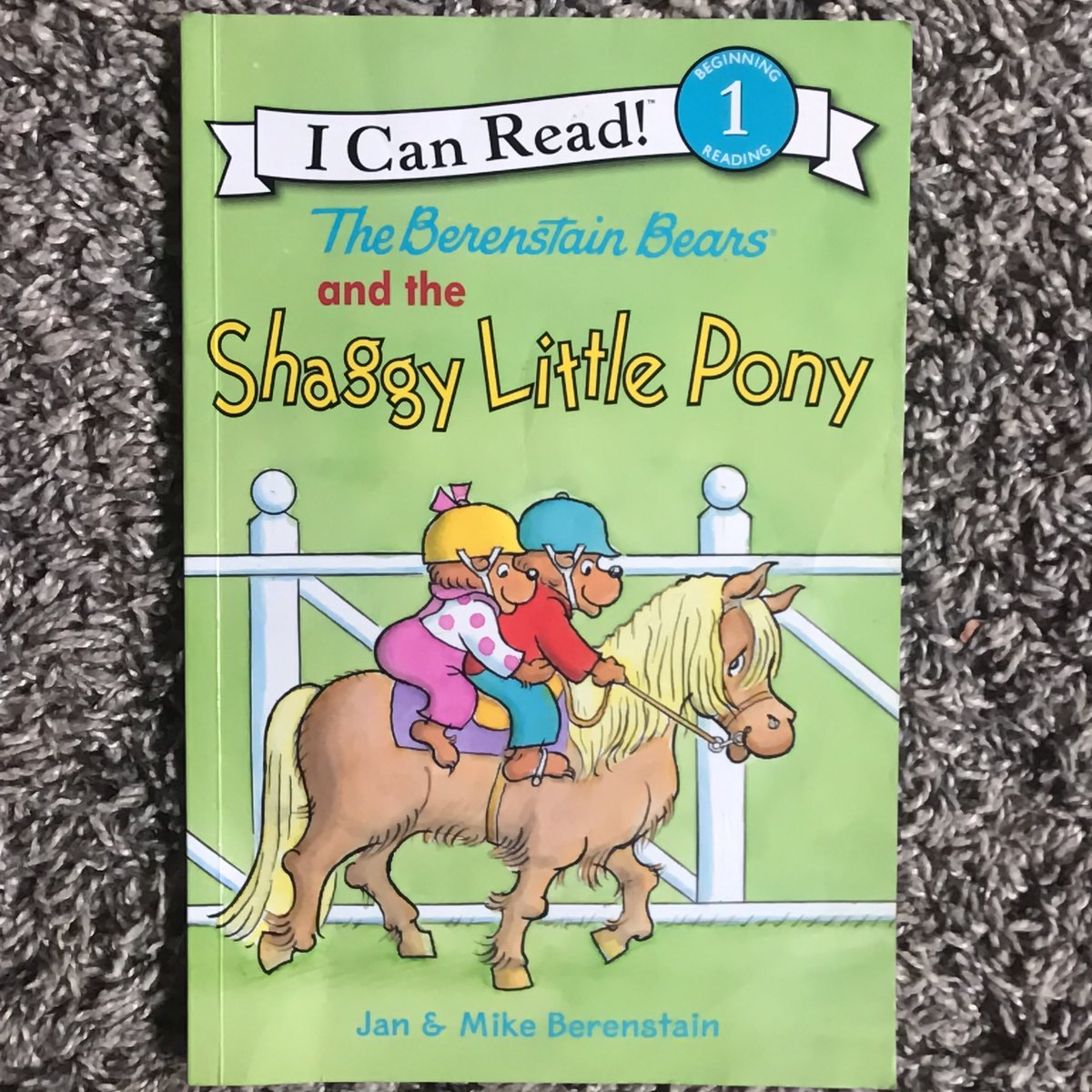 The Berenstain Bears and the Shaggy Little Pony by Jan Berenstain