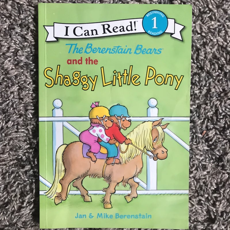 The Berenstain Bears and the Shaggy Little Pony