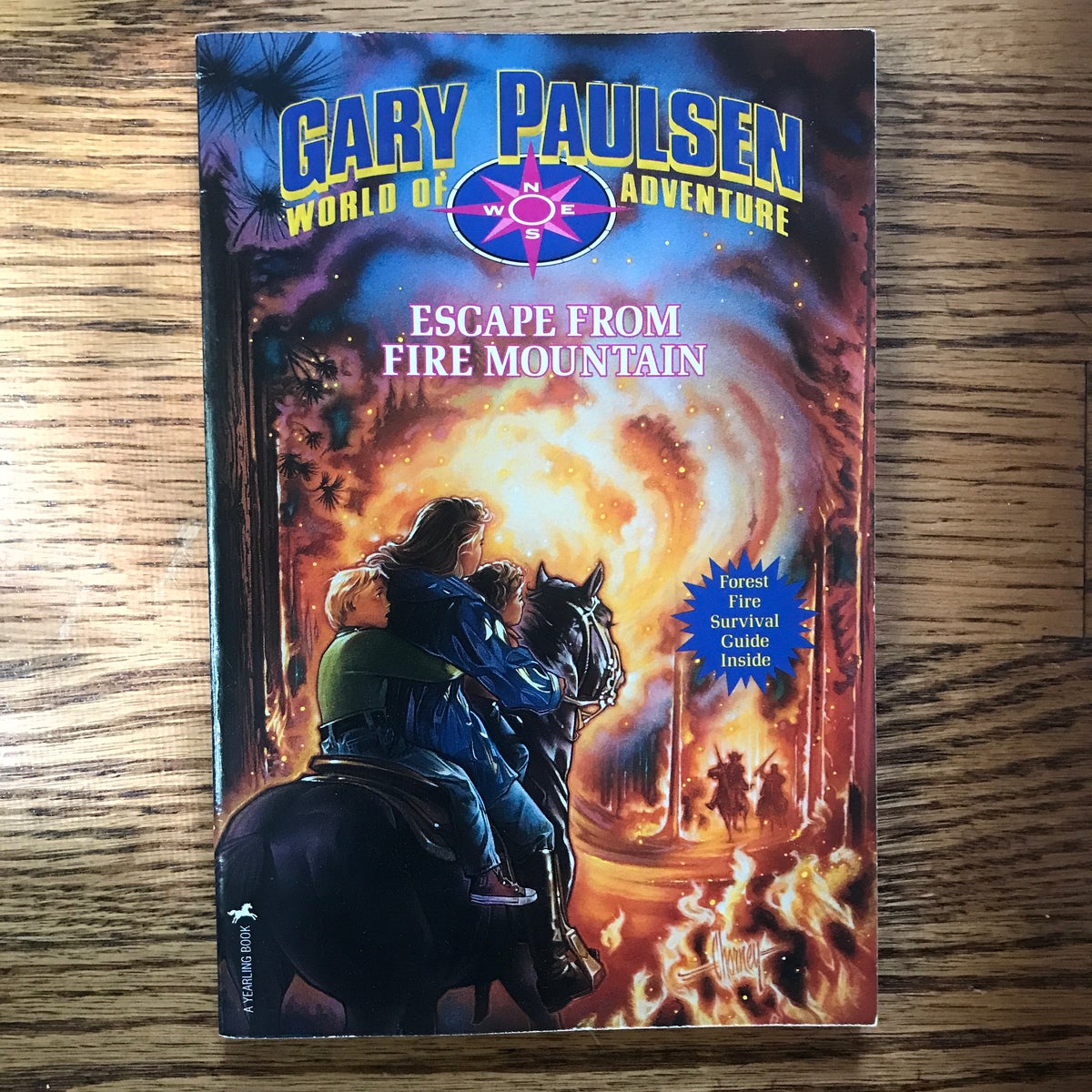 Escape from Fire Mountain by Gary Paulsen
