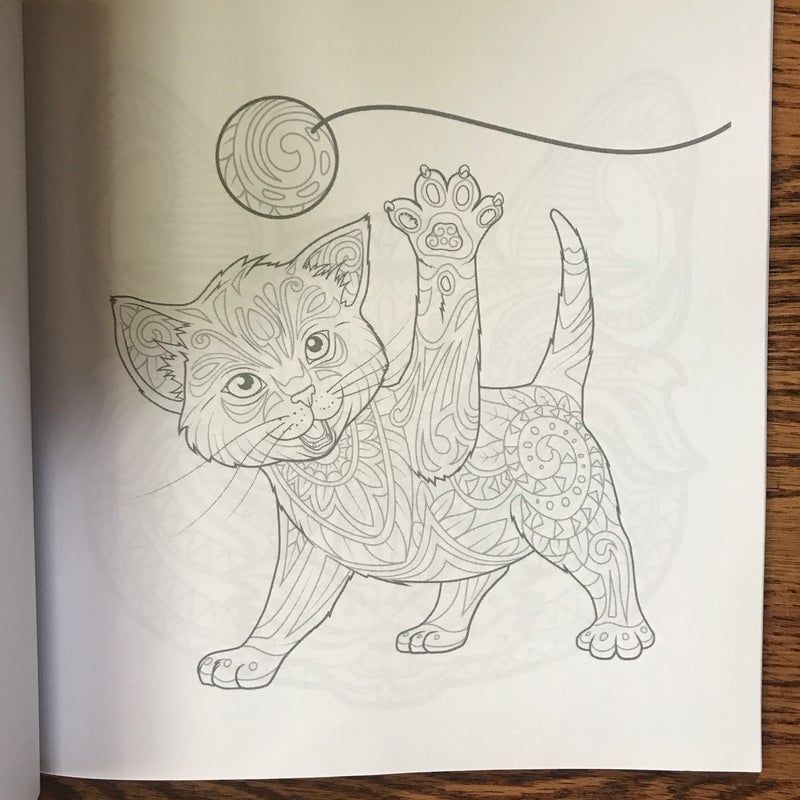 Adult Coloring Book: Cats