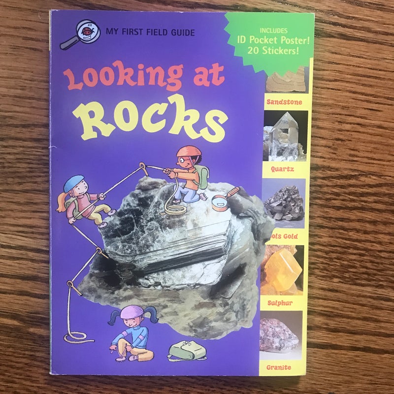 Looking at Rocks