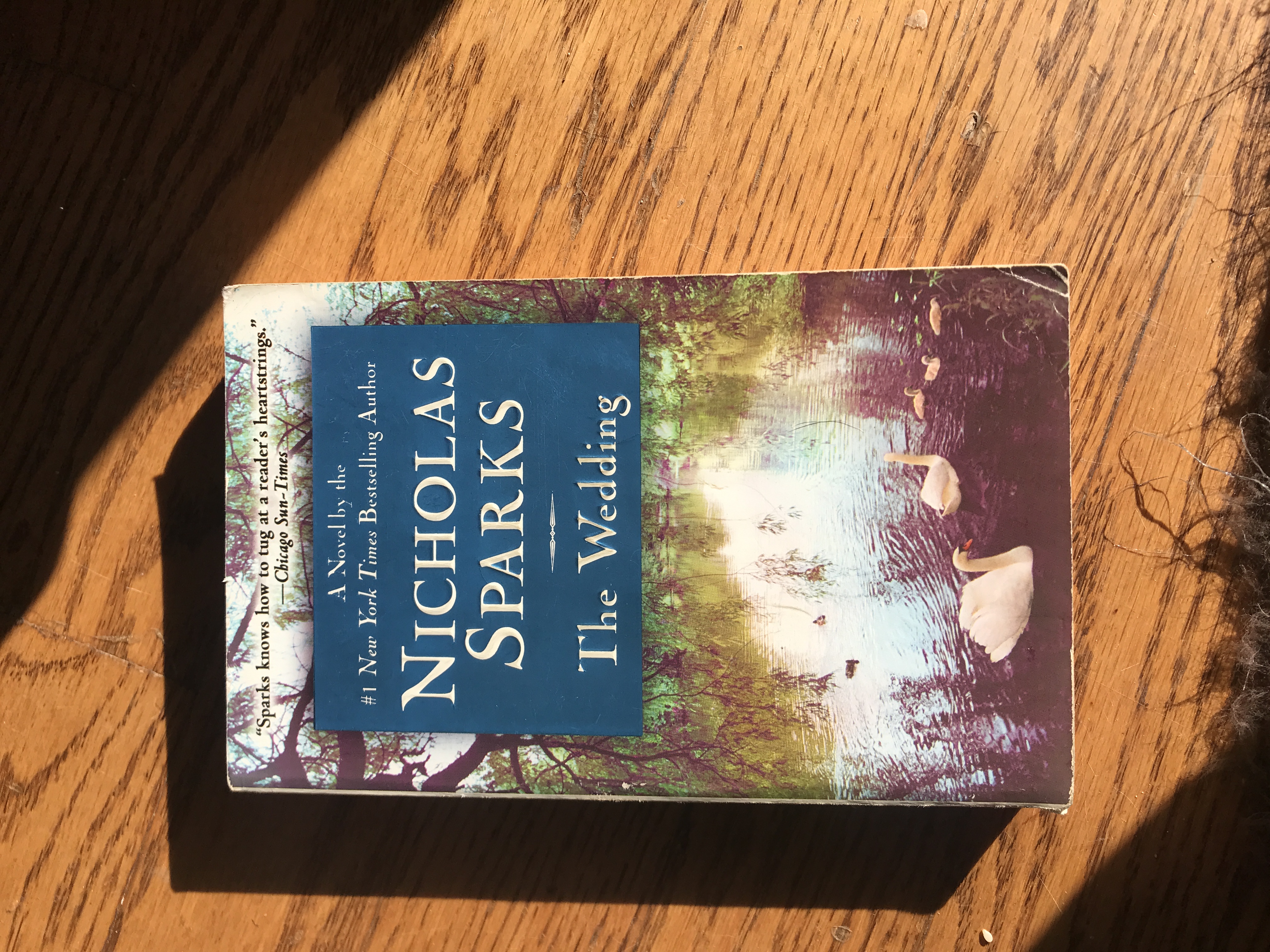 0446615862 book cover