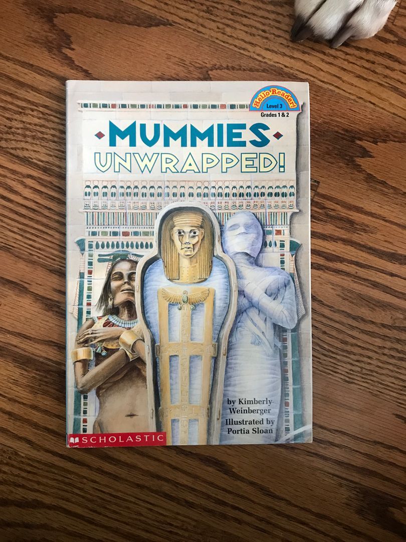 Mummies Unwrapped, Level 3
