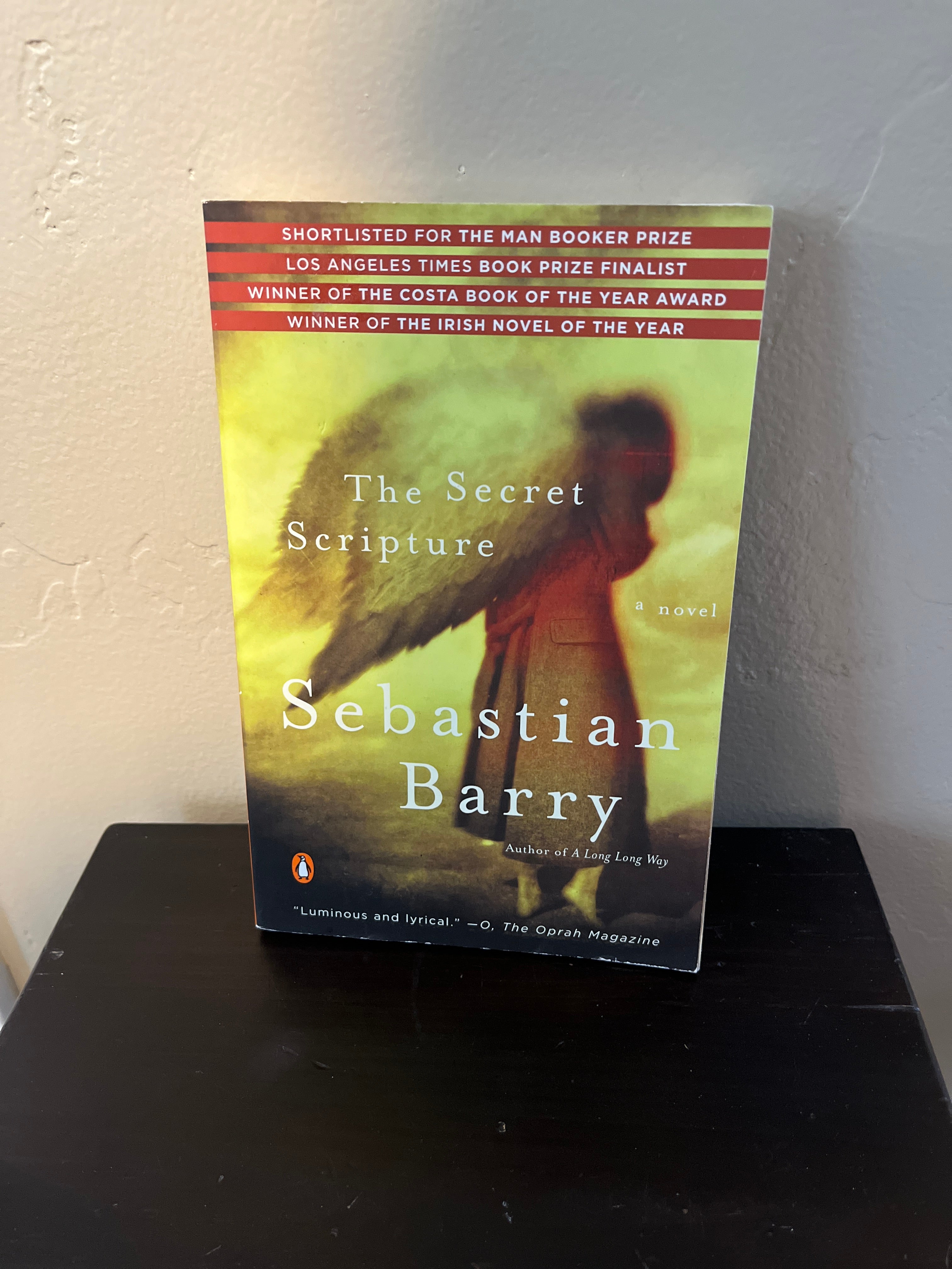 The Secret Scripture