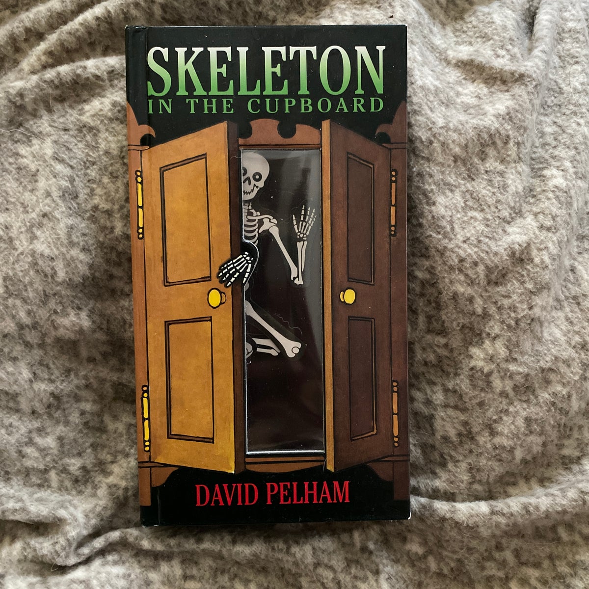 Skeleton in the Cupboard by David Pelham