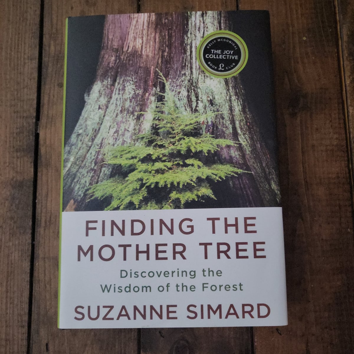 Finding the mother tree