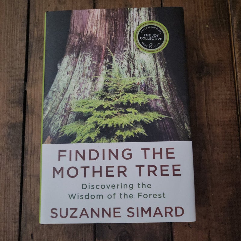 Finding the Mother Tree