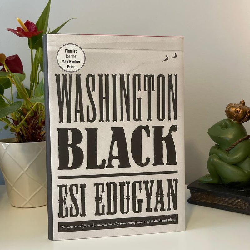 Washington Black