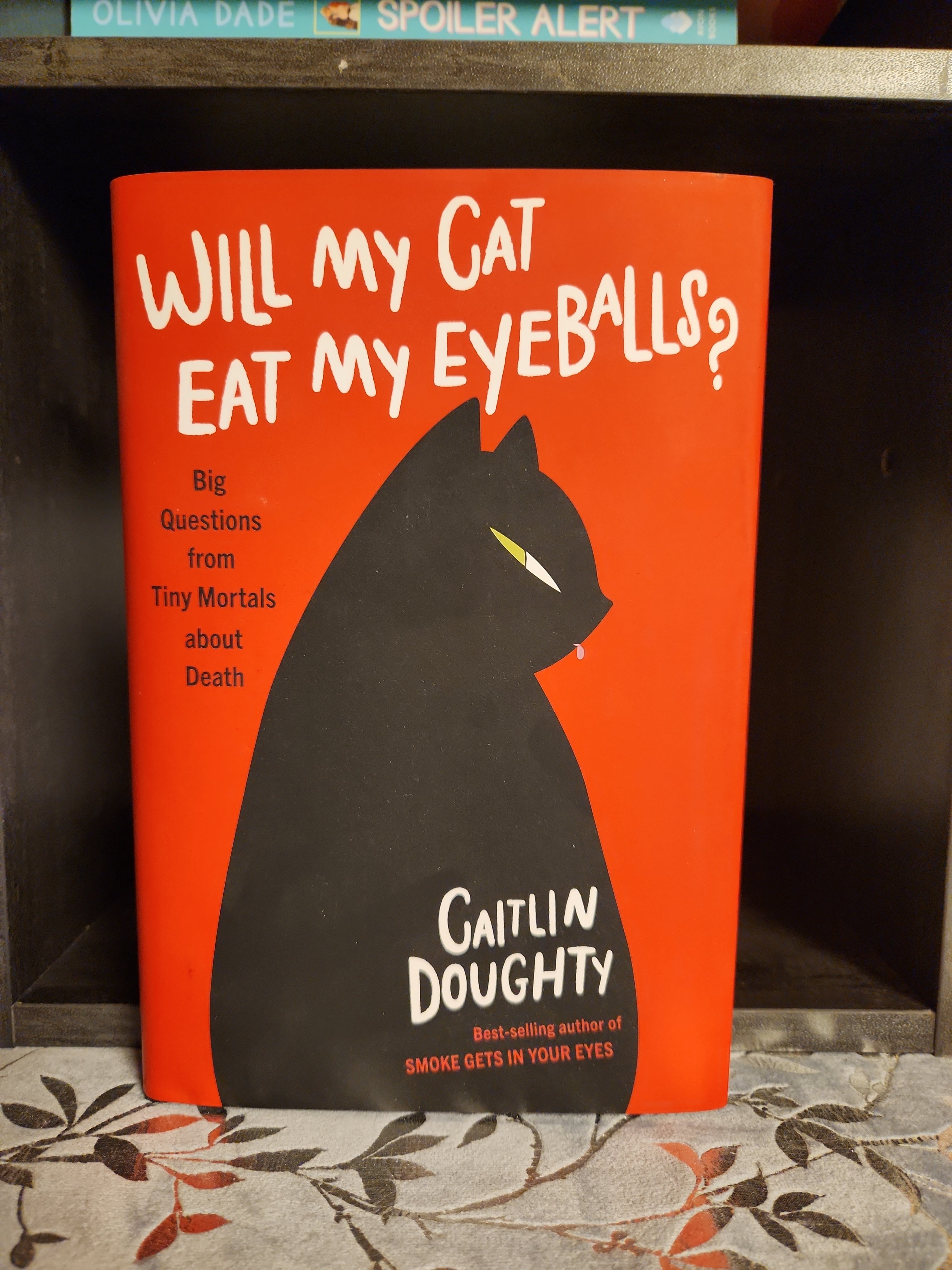 Will My Cat Eat My Eyeballs?