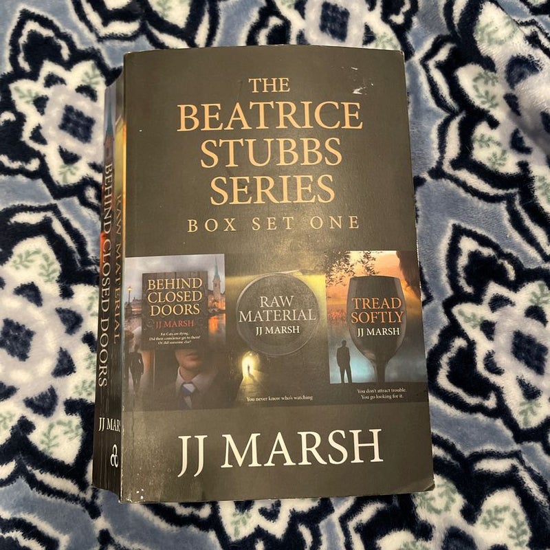 The Beatrice Stubbs Series by JJ Marsh Paperback Pangobooks