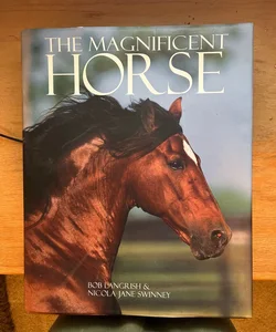 The Deluxe...Magnificent Horse
