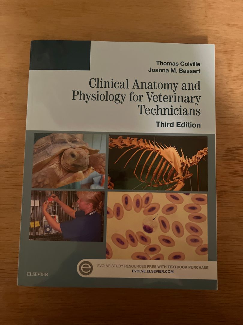 Clinical Anatomy and Physiology for Veterinary Technicians