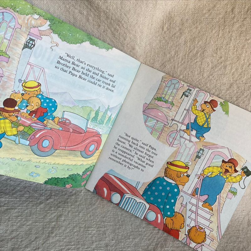 The Berenstain Bears and Too Much Birthday