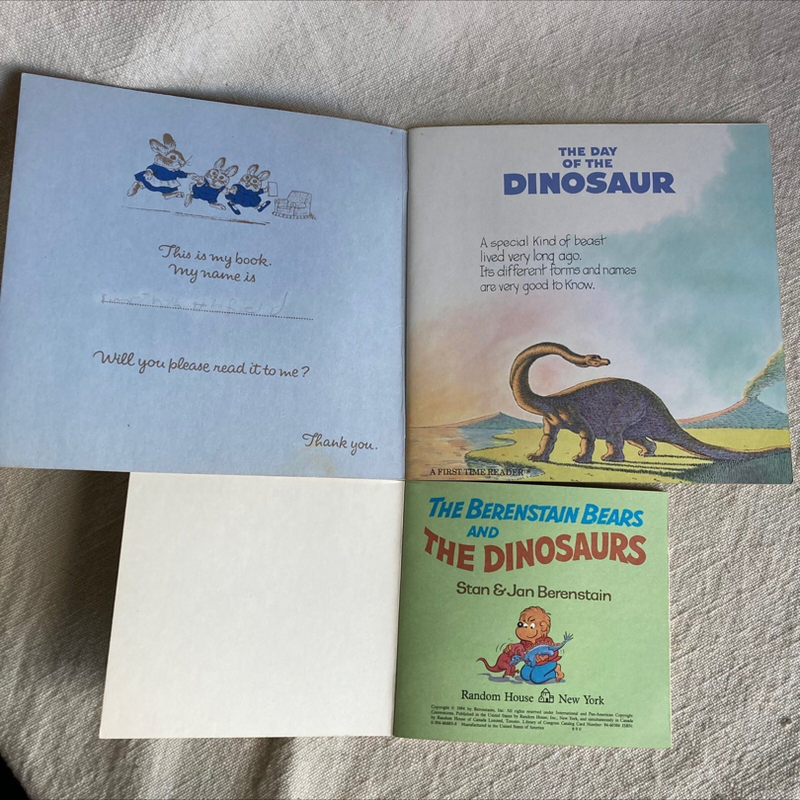 Berenstain Bears and the Day of the Dinosaur