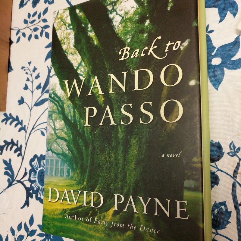 Back to Wando Passo