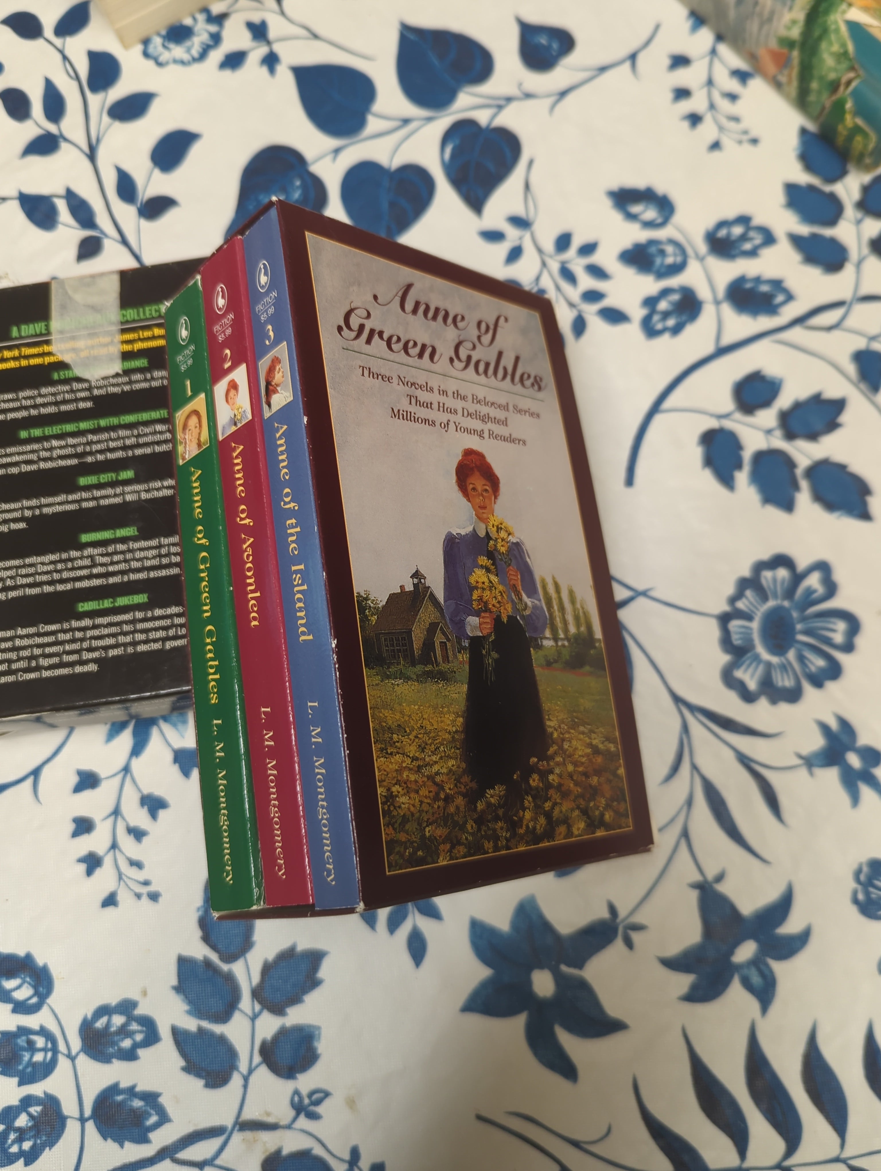 Anne of Green Gables 3 Copy Box Set, Vol. 1