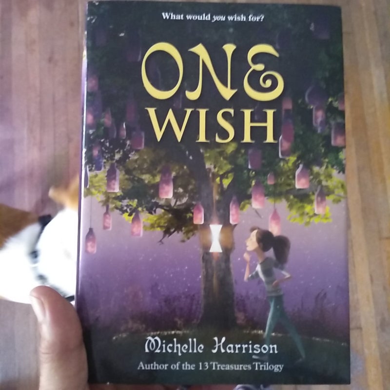 One Wish