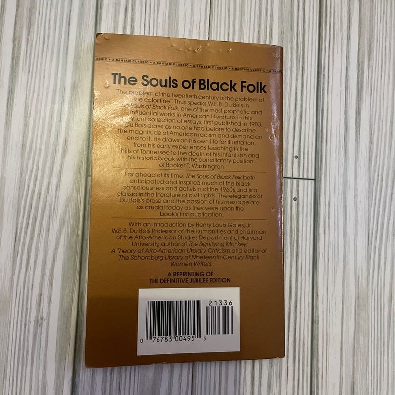 The Souls of Black Folks 