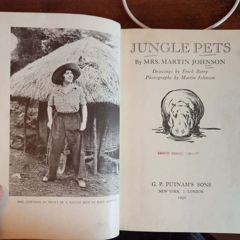 Jungle Pets