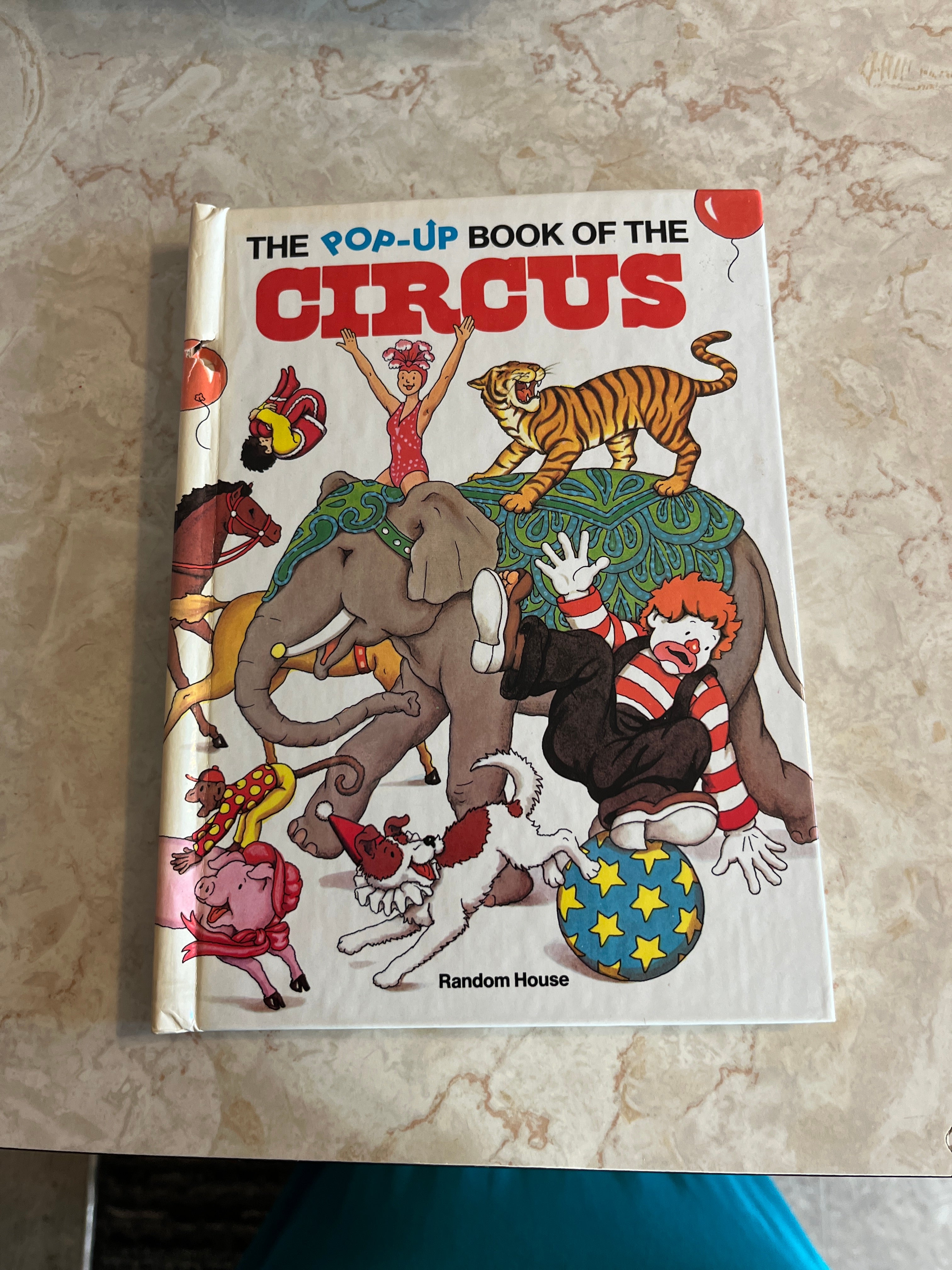 The Circus