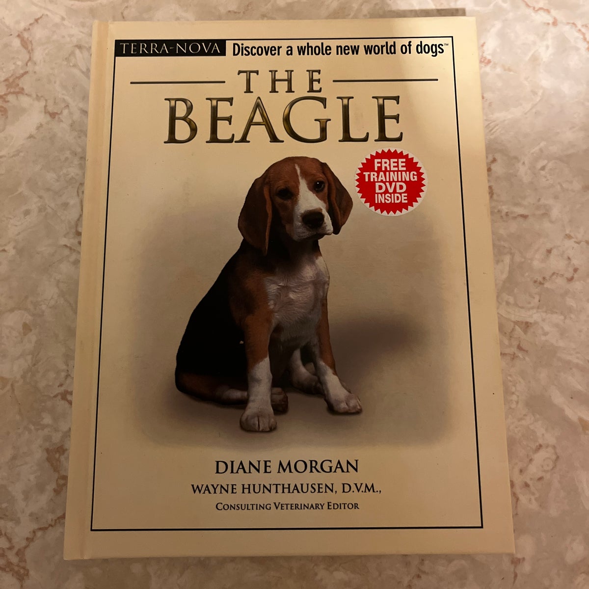 Beagle 2024 savvy book