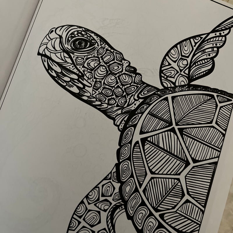 Adult Coloring: Fish (Relax and Rewind)