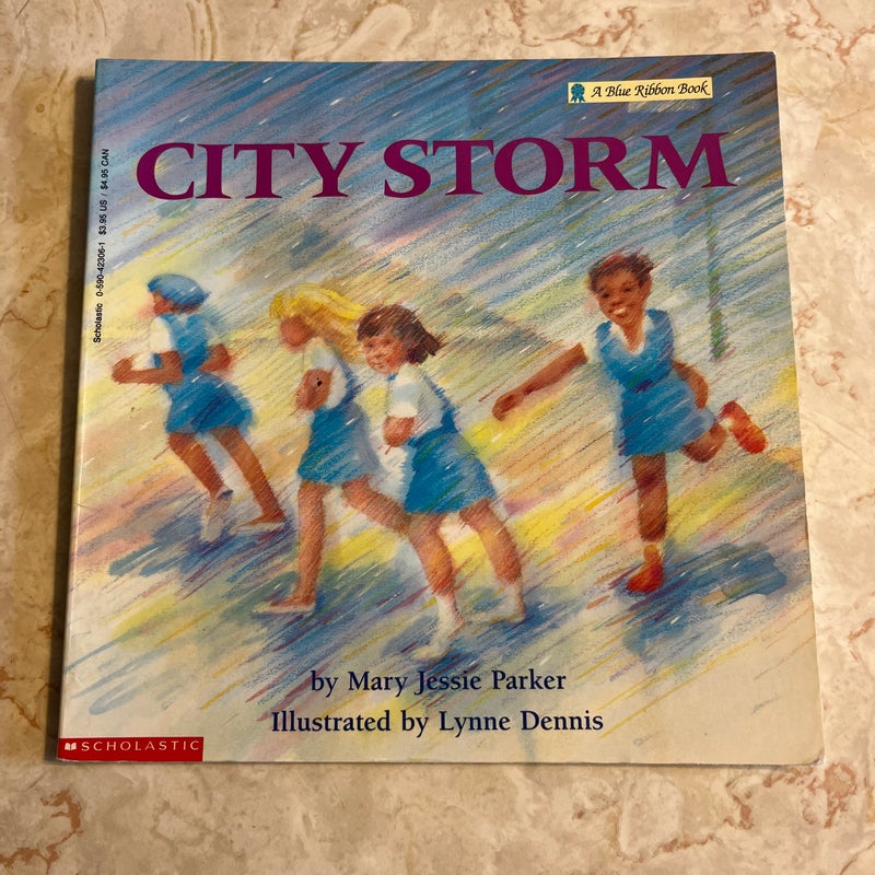 City Storm 