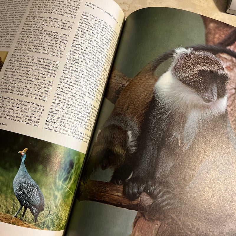 The World Encyclopedia of Animals 