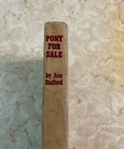 Pony for Sale 