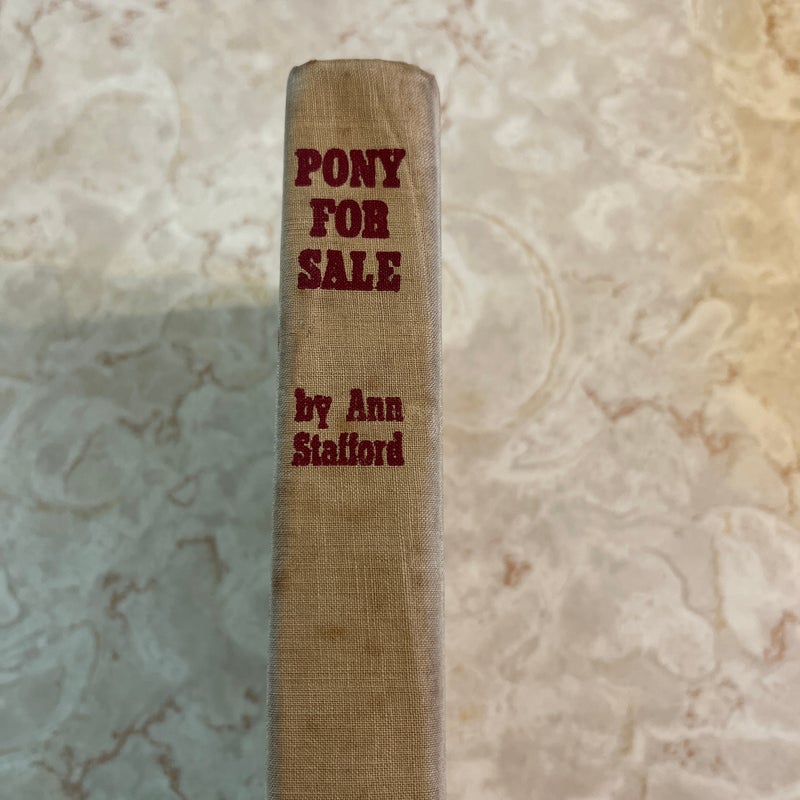 Pony for Sale 