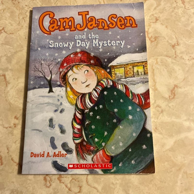 Cam Jansen and the Snowy Day Mystery