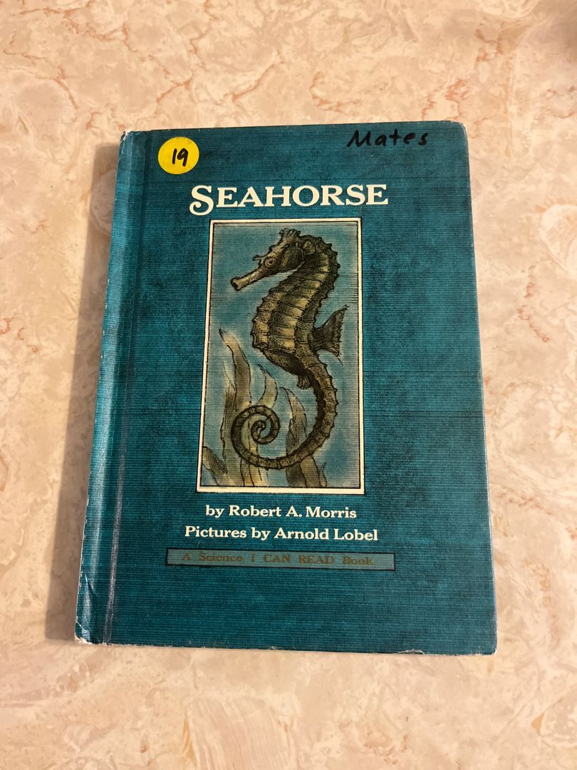 Seahorse
