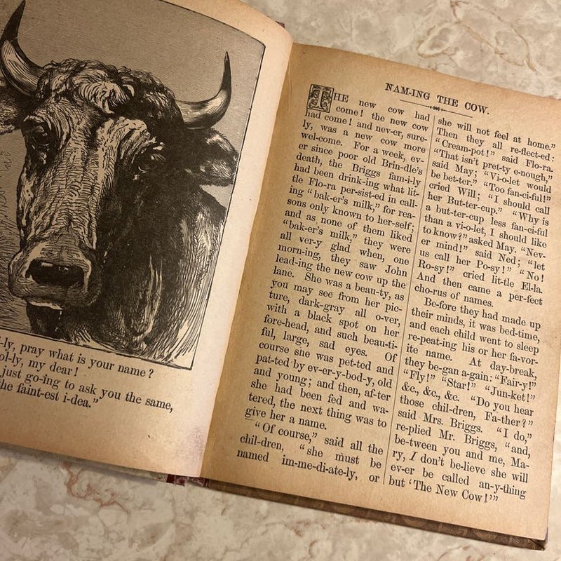 Easy to Read Stories of Animals 