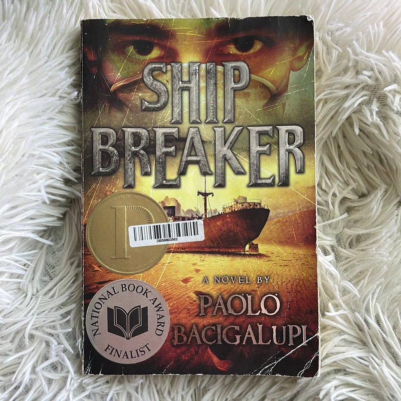 ✅ Ship Breaker