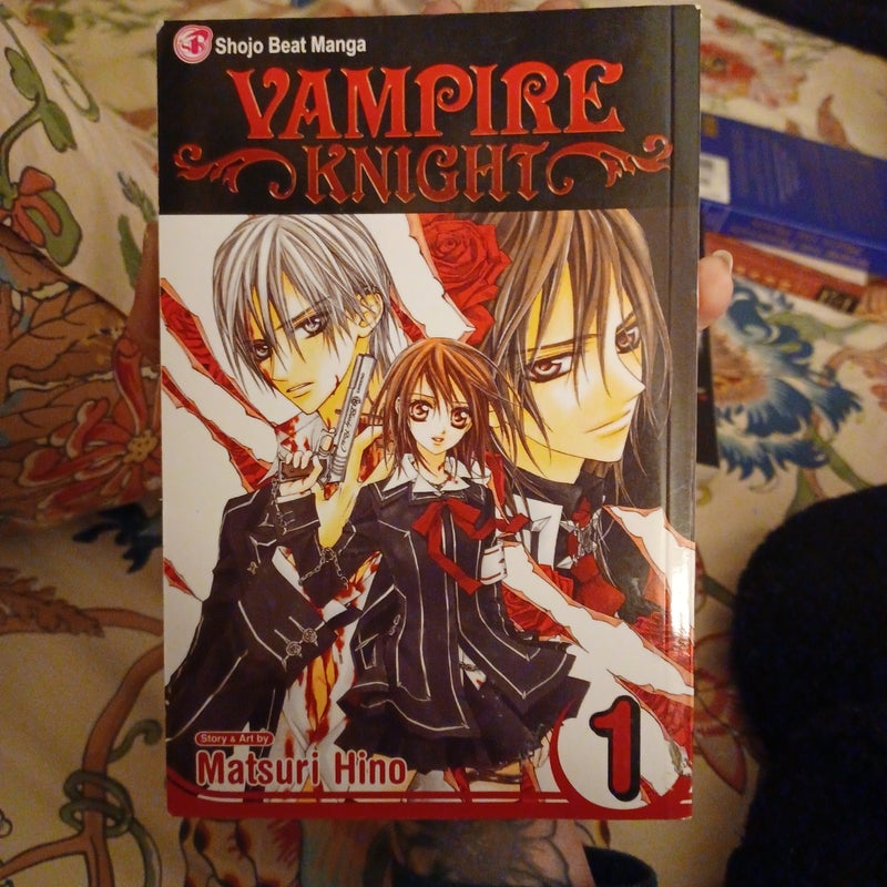 Vampire Knight, Vol. 1