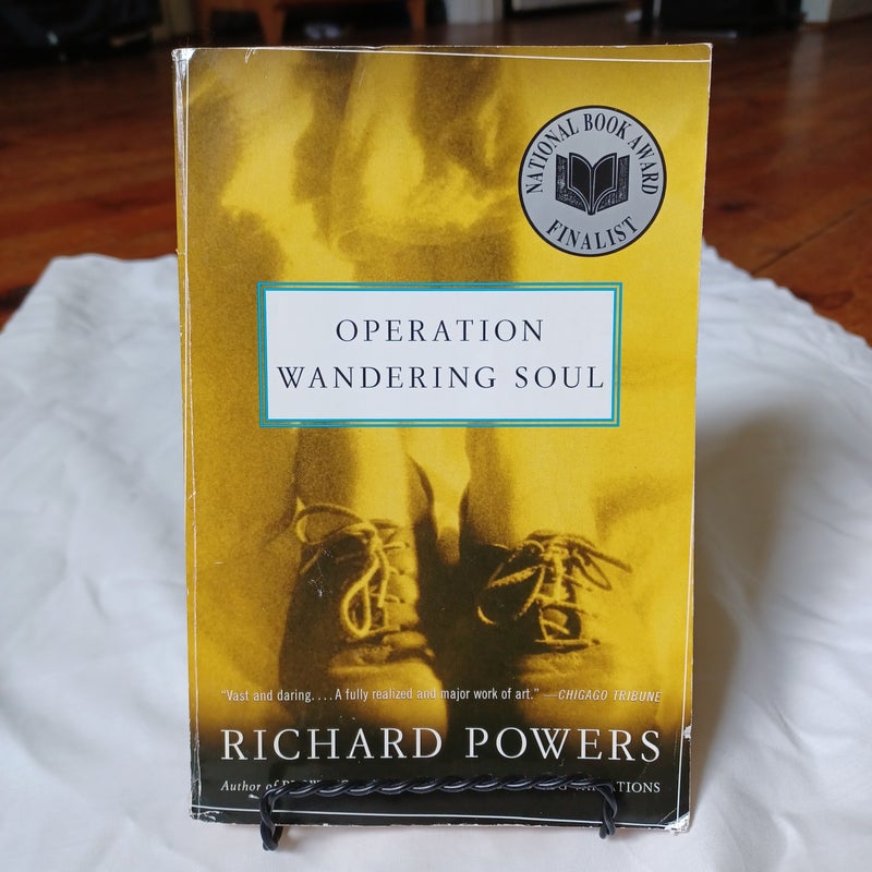 Operation Wandering Soul