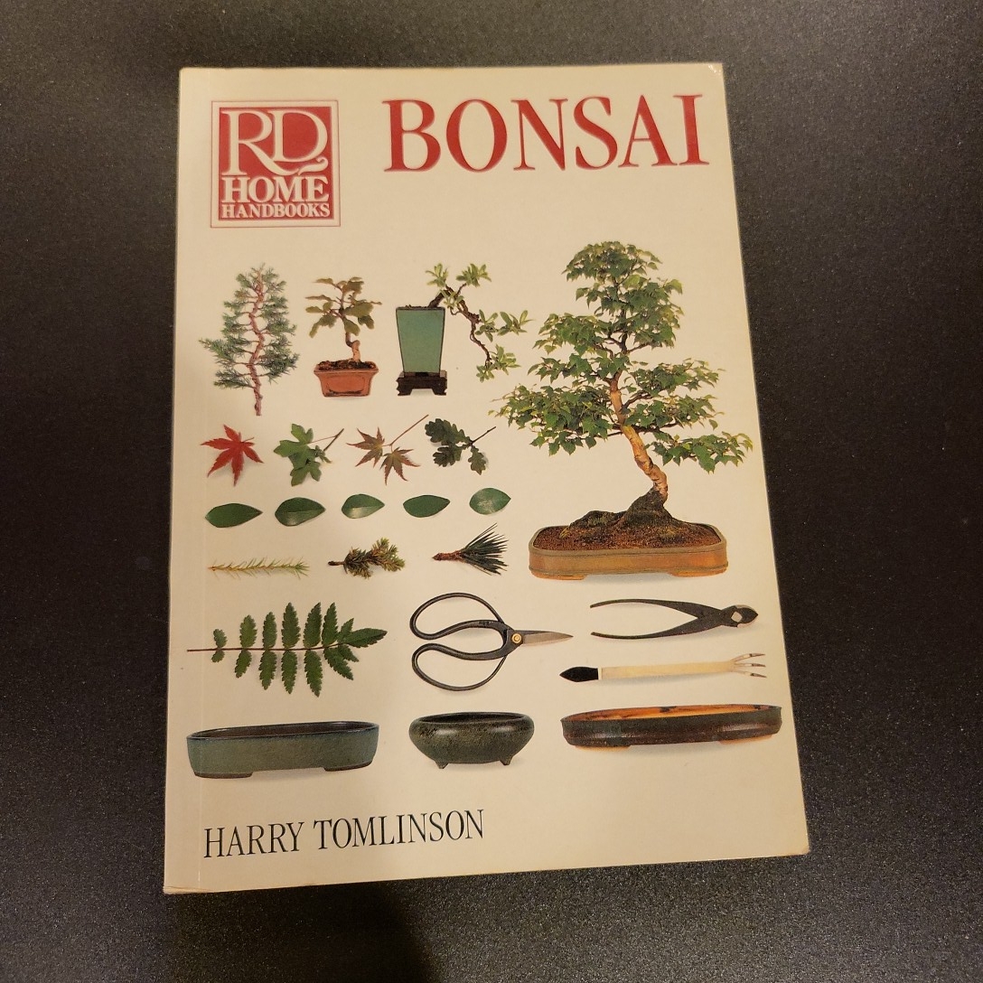 Bonsai by Harry Tomlinson