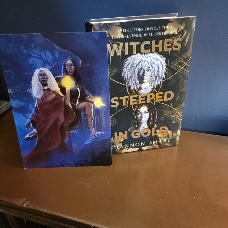 Witches Steeped In Gold Owlcrate Edition 