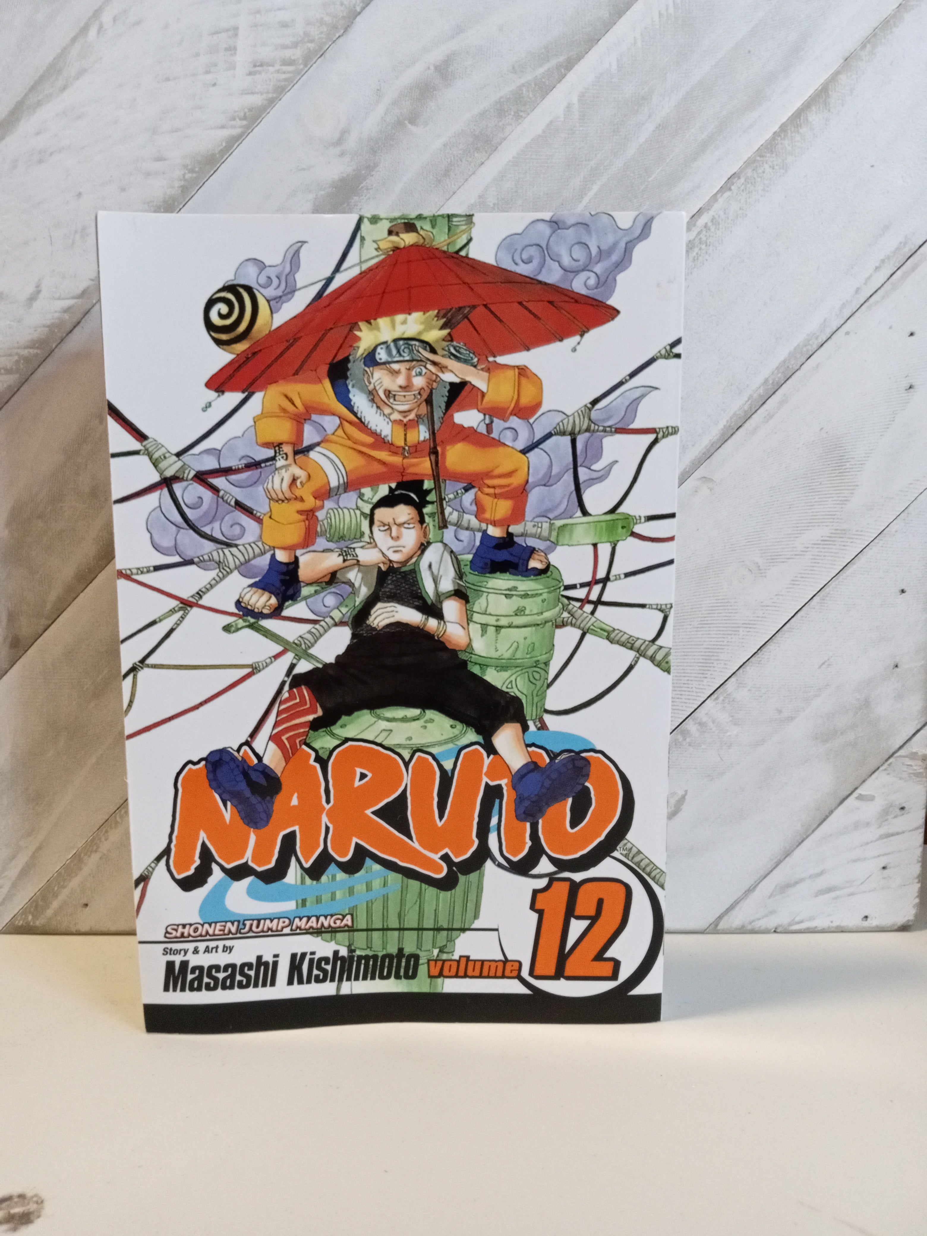 Naruto, Vol. 12